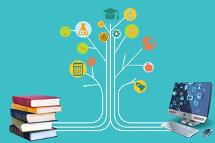 成都app軟件開發給企業營銷帶來的優勢